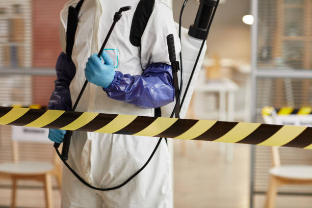 Professional Hoarding Cleanup technician working in Belleview, FL